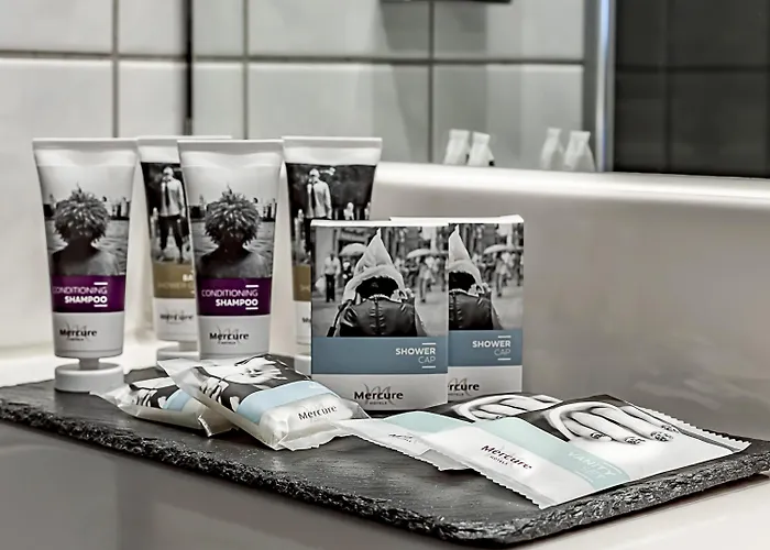 Отель Mercure Frankfurt Messe Франкфурт-на-Майне