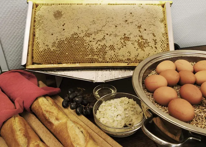 Отель Mercure Frankfurt Messe